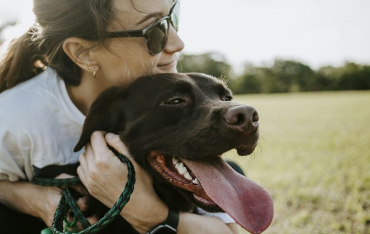 Crate vs Playpen: Which Is Better for a New Puppy?