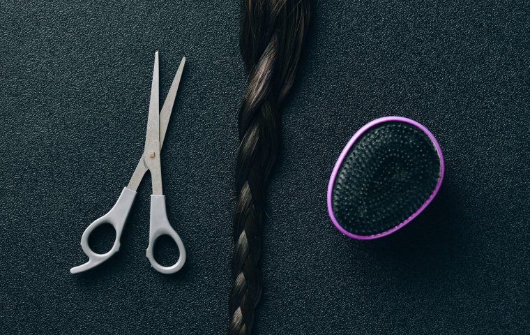 8 Grooming Tools Every Pet Owner Should Own