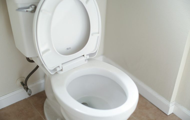 7 Litter Box Mistakes That Cause Accidents (and Fixes)