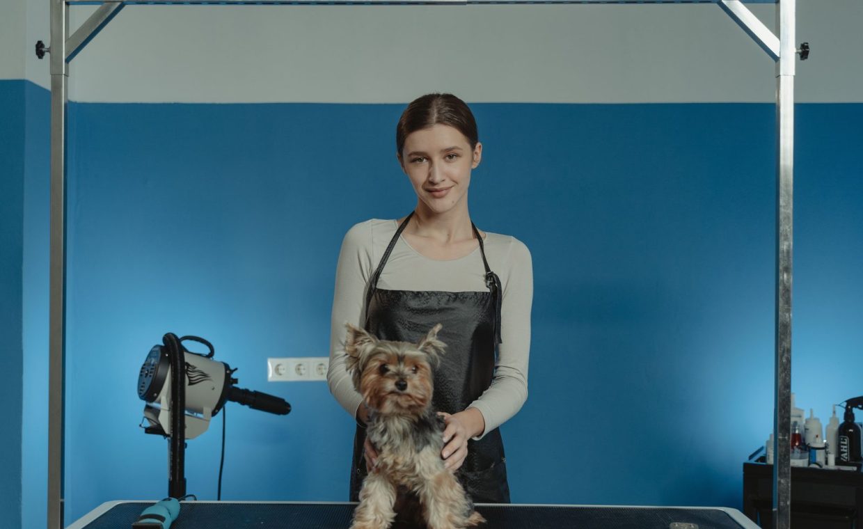 A professional groomer poses with a groomed Yorkshire Terrier in a modern grooming salon.