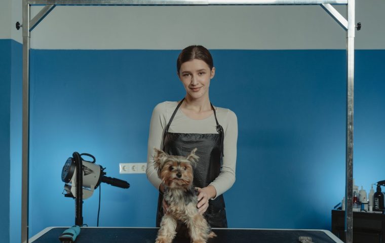 Professional Groomer vs DIY: When to Call a Pro