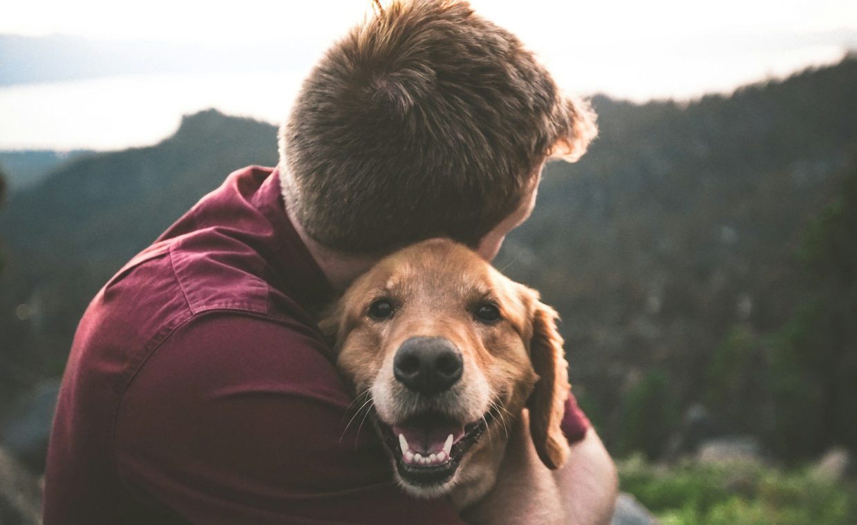 photo of man hugging tan dog