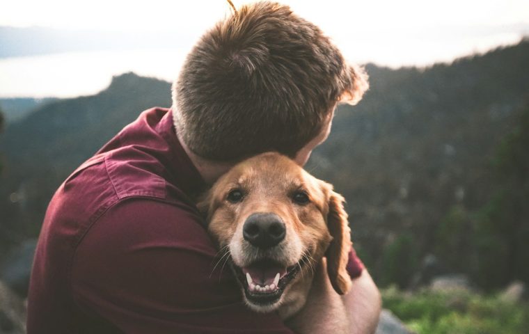 Why Does My Dog Follow Me Everywhere? What It Means