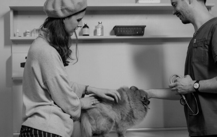 Common Puppy Health Issues New Owners Should Watch For